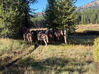 IMG_0664.jpeg