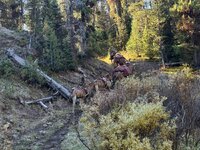IMG_0657.jpeg