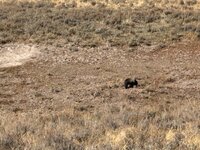 IMG_0789.jpeg