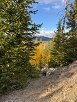 IMG_0494.jpeg