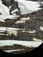 IMG_6479.jpeg
