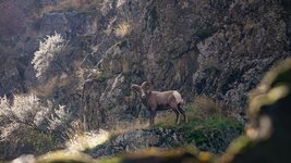 _DSC6082.jpg