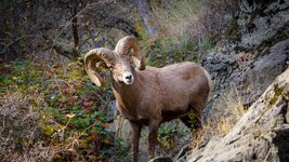 _DSC6054.jpg