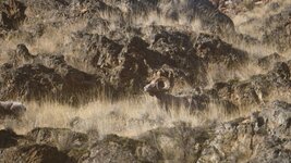 _DSC5974.jpg
