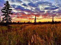 IMG_3629.jpeg