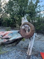 IMG_4568.jpeg