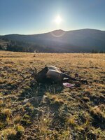 IMG_0633.jpeg