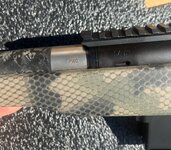 IMG_4556.jpeg