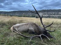 IMG_3668.jpeg