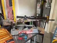 IMG_2035.jpeg