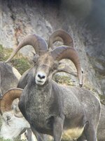 IMG_1724.jpeg