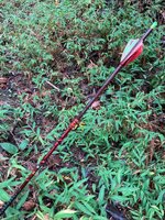 IMG_9069.jpeg