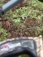 IMG_0008.jpeg