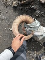 IMG_3953.jpeg