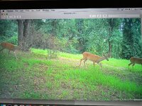 IMG_5086.jpeg