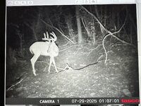IMG_5087.jpeg