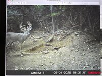 IMG_5088.jpeg