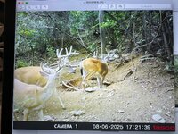 IMG_5089.jpeg