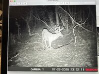 IMG_5090.jpeg