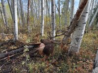 IMG_1995.jpg