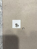 IMG_6978.jpeg