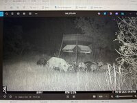 IMG_0882.jpeg