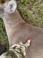 IMG_5496.jpeg