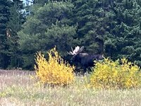 IMG_4462.jpeg