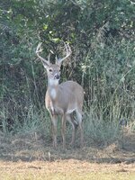 IMG_0980.jpeg