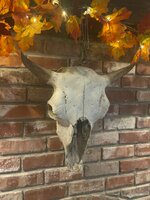 IMG_3864.jpeg