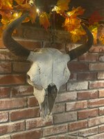IMG_3863.jpeg