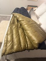IMG_2220.jpeg