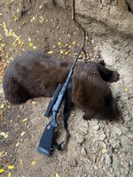 IMG_8314 2.jpeg