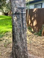 IMG_0838.jpeg