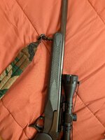 20 ga 1.jpg