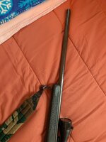 20 Ga 2.jpg