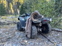 IMG_2225.jpeg