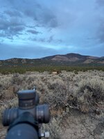 IMG_3614.jpeg