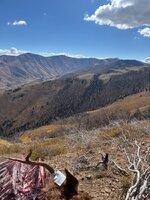 IMG_3658.jpeg