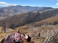 IMG_3657.jpeg