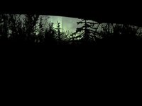 IMG_3811.jpeg