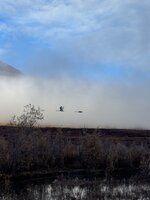 IMG_1307.jpeg