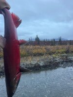 IMG_1545.jpeg