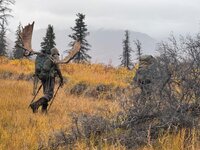 IMG_1563.jpeg