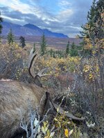 IMG_1431.jpeg