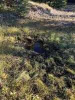 IMG_7258.jpeg