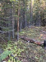 IMG_7259.jpeg