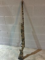 IMG_0255.jpeg