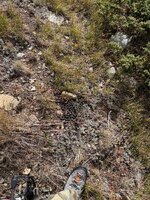 IMG_7194.jpeg