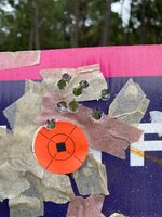 IMG_5575.jpeg